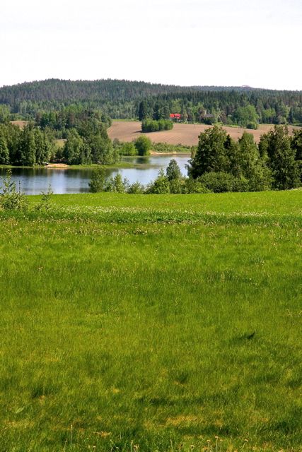 Suomelan järvimaisemaa. Kuva: MBody.info – Maria Svan
